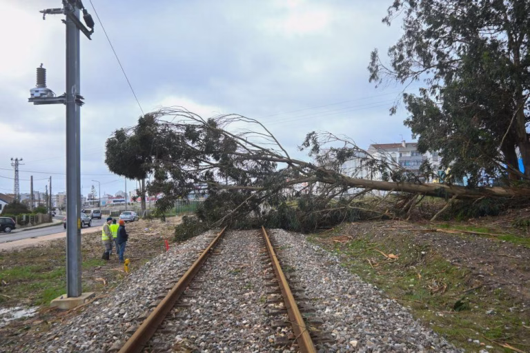 Circulação ferroviária condicionada em várias linhas às 15:00  - IP