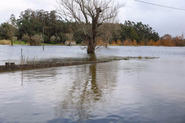 Margem direita do rio Mondego parte para canal de rega em Montemor-o-Velho