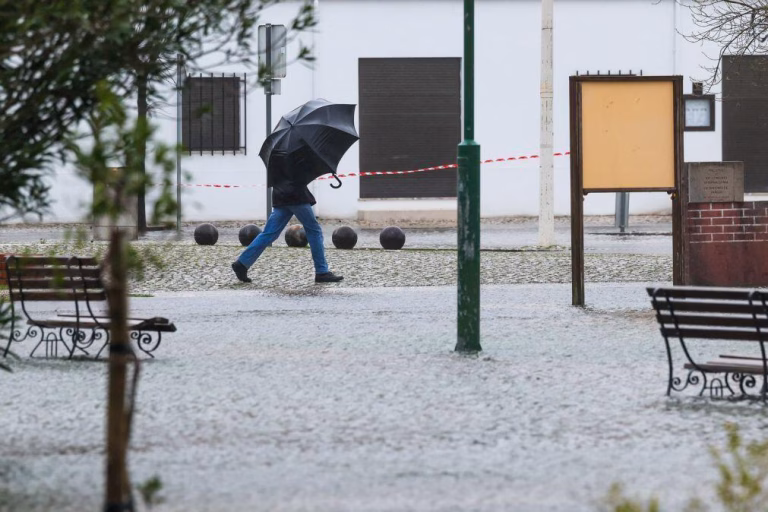 Mau tempo: Proteção Civil dá conta de madrugada normal na região centro