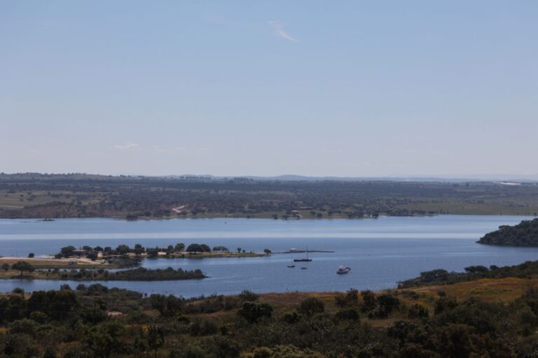 Associação Zero contra novas barragens de Alqueva em afluentes do Rio Guadiana