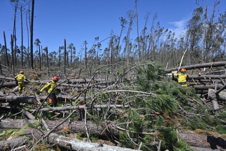 Incêndios: Governo reforça vigilância aérea priorizando concelhos afetados pela Kristin