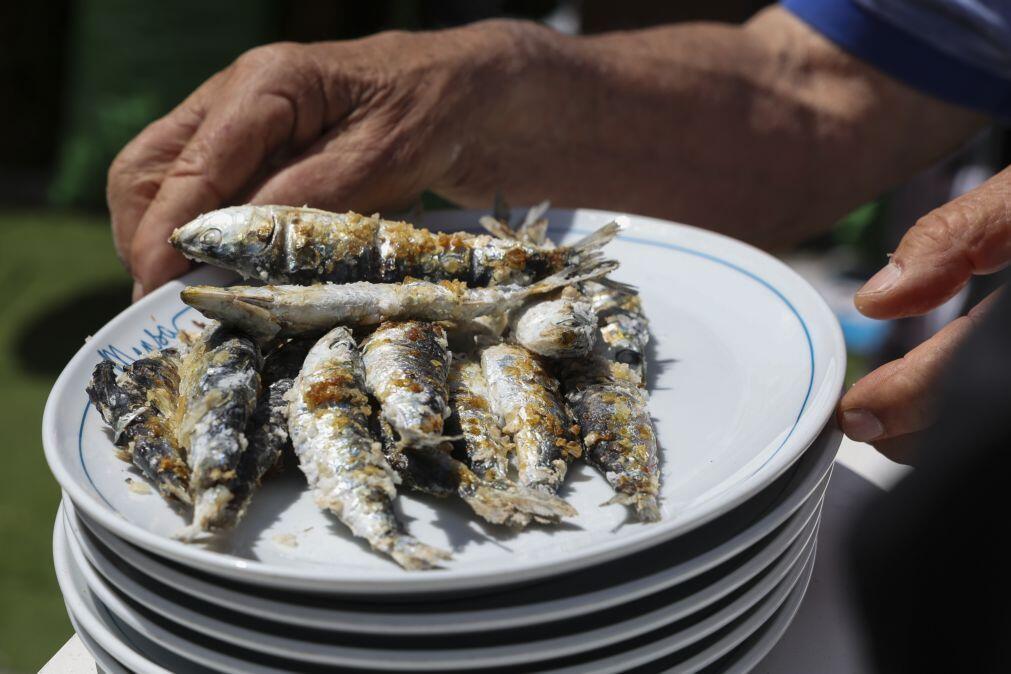População de sardinha adulta quadruplicou desde 2015, indica relatório