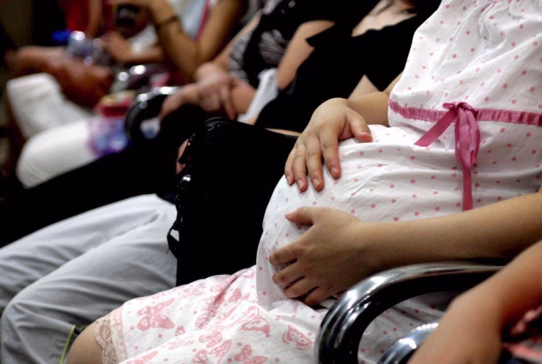 No Dia da Mãe, IL recomenda ao Governo que regulamente gestão de substituição