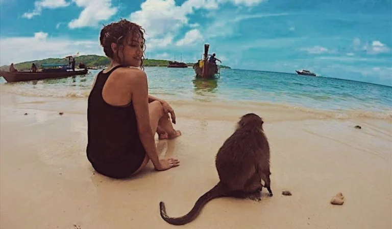 Atriz turca de 35 anos morreu depois de mordida por macaco na Tailândia