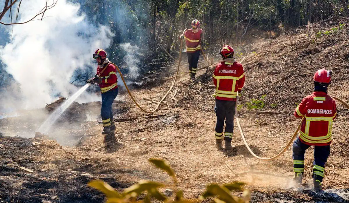 Fogo em Loulé tem duas frente ativas e ainda não obrigou a evacuações