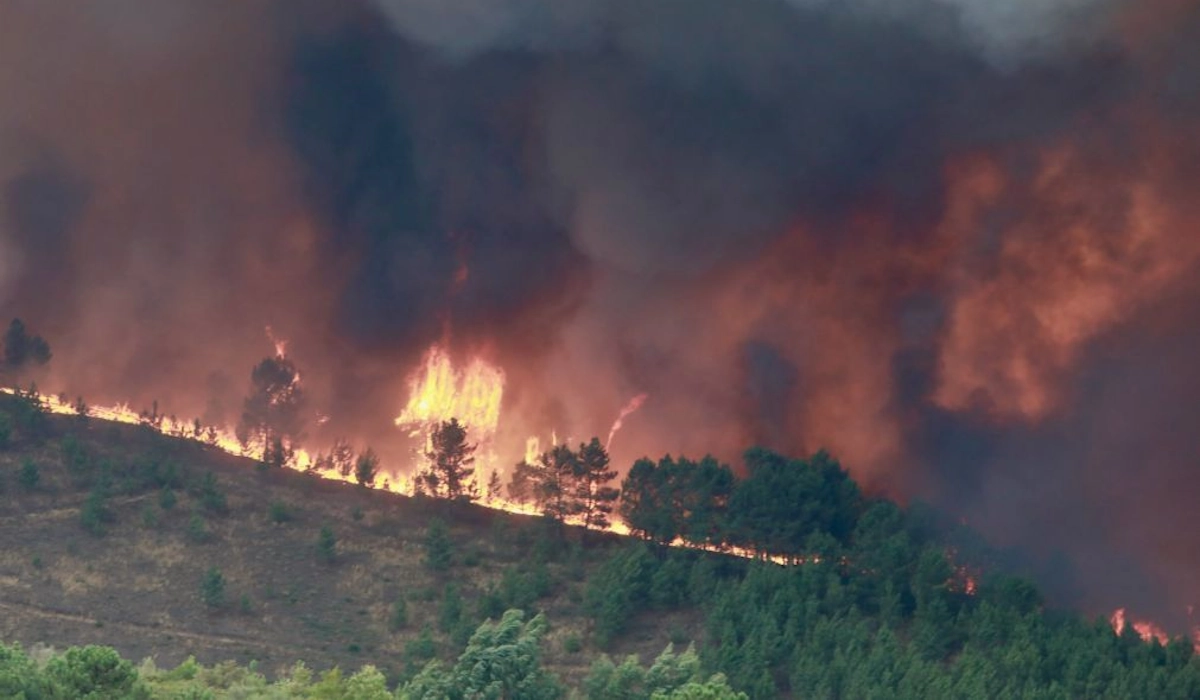 Vinte e dois concelhos em perigo muito elevado de incêndio e risco agrava-se a partir de 4ª-feira