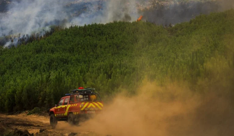 Dezassete concelhos em perigo máximo de incêndio com aviso laranja em três distritos