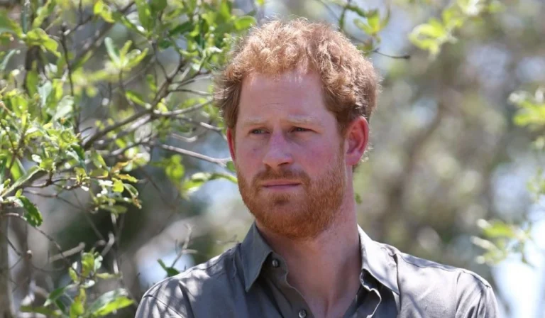 Rei Carlos abre as portas da realeza ao regresso de Harry