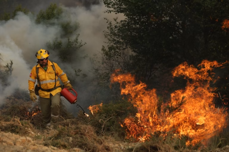Governo vai pagar entre 300 e 360 euros por hectare queimado por fogo controlado