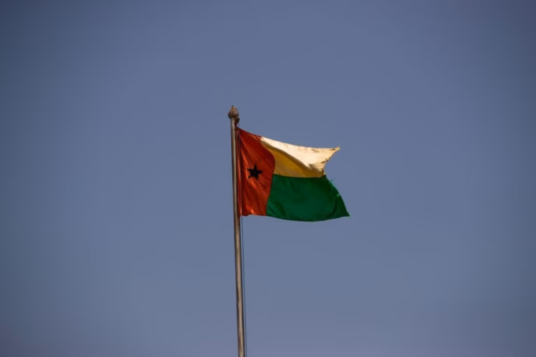 ONG exige investigação independente à morte do ativista guineense Vigário Balanta