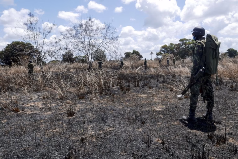 Moçambique/Ataques: Populares denunciam circulação de supostos terroristas em Macomia