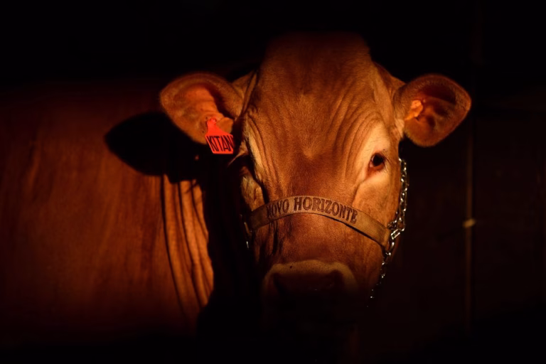 Brasil responsabiliza setor privado brasileiro pelo veto da UE à carne