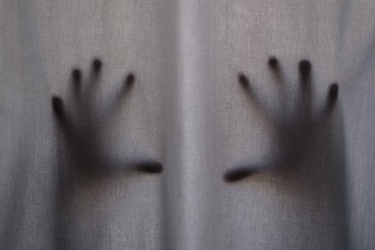 APAV apoiou 50.495 mulheres nos últimos quatro anos, maioria por violência doméstica