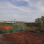 Logotipo Último elefante de circo em Portugal já mora em santuário no Alentejo