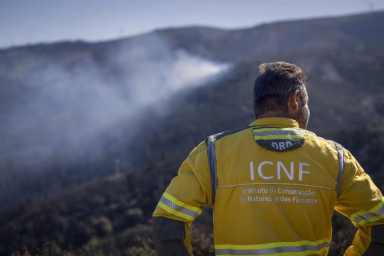 ICNF atualiza limites de 6 áreas protegidas e consulta pública abre sexta-feira