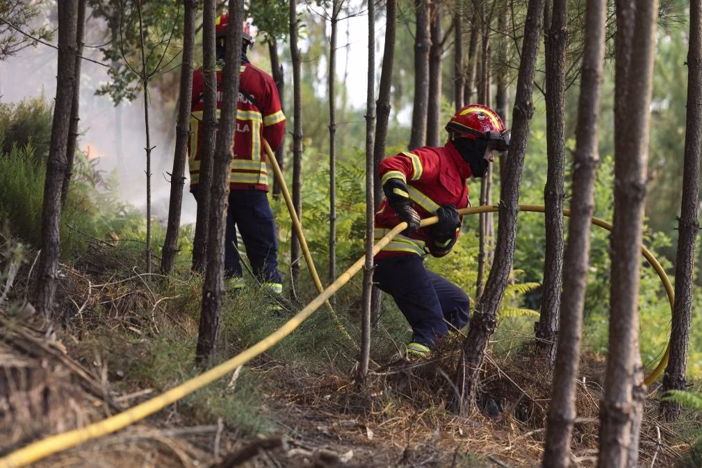 Incêndio em Mangualde está dominado