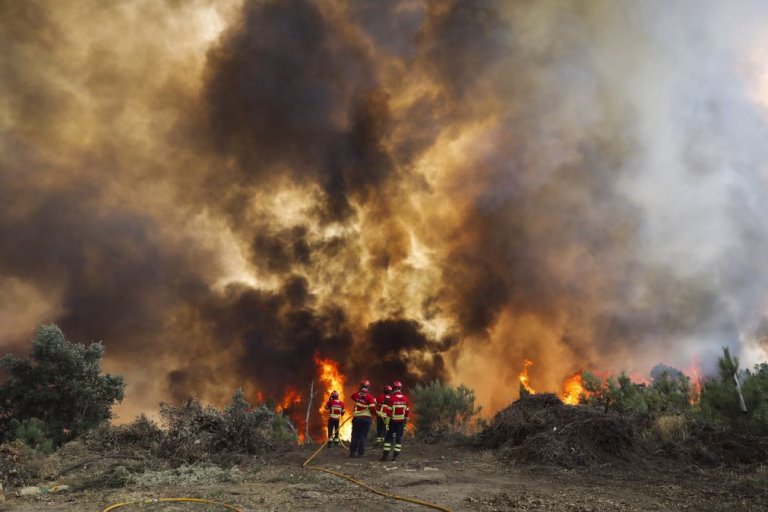 Mais de uma centena de concelhos em risco máximo de incêndio