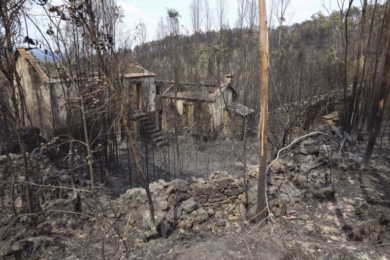 Mais de 15.000 hectares de área ardida em Portugal nos últimos cinco dias
