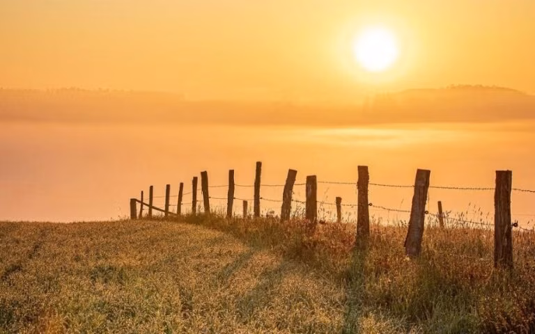 Meteorologia  – Fim de semana com sol e subida de temperaturas