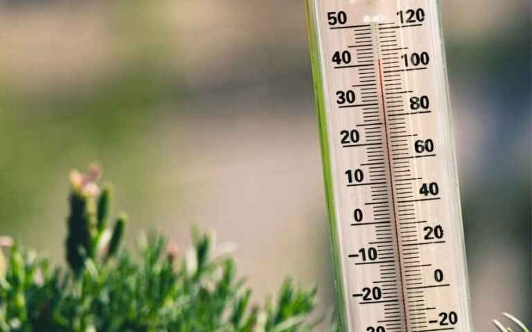 Meteorologia  – Nova subida de temperaturas coloca a maior parte do país em perigo muito elevado de incêndio