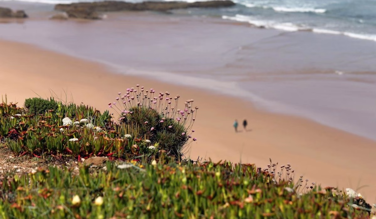 Portugal tem 73 praias com água de qualidade ‘Zero Poluição’ em 2026