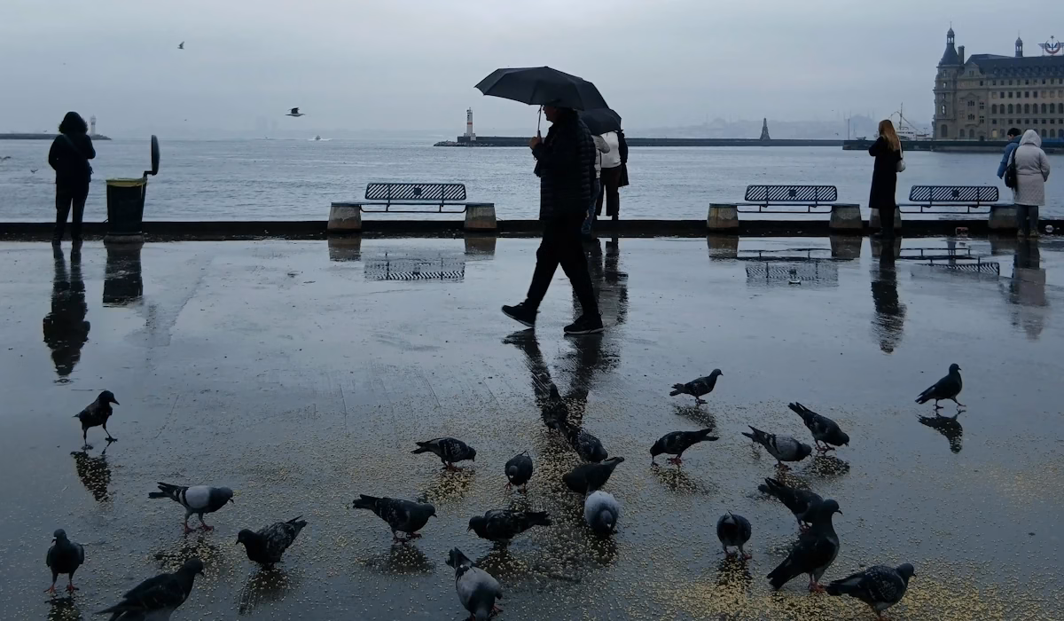Mudança brusca: Frente fria traz chuva e queda das temperaturas a Portugal